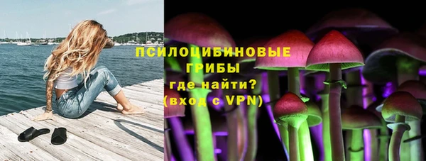 мдма Богданович