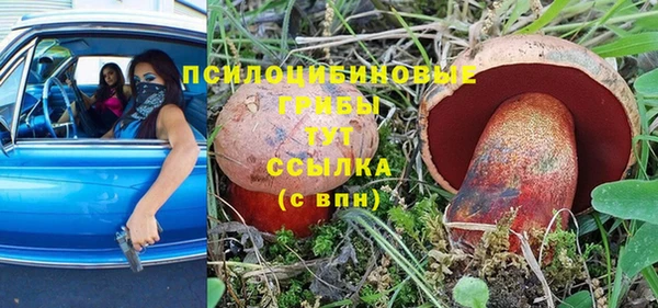 мдма Богданович