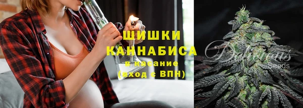 хмурый Богородск