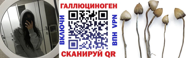Псилоцибиновые грибы Magic Shrooms где найти Верхняя Салда
